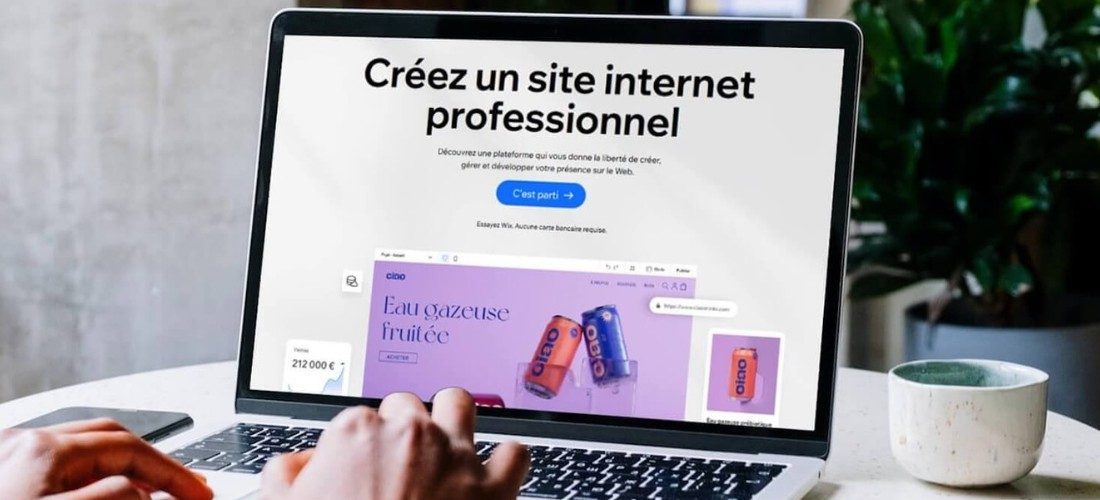 site web ou site internet